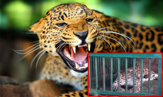 అవినీతికి పాతరేస్తాం : మంత్రి వెల్లంపల్లి