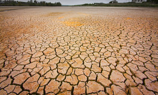 మద్యం మత్తులో యువకుల వీరంగం..!