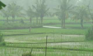 రికార్డు సృష్టించిన మందుబాబులు..