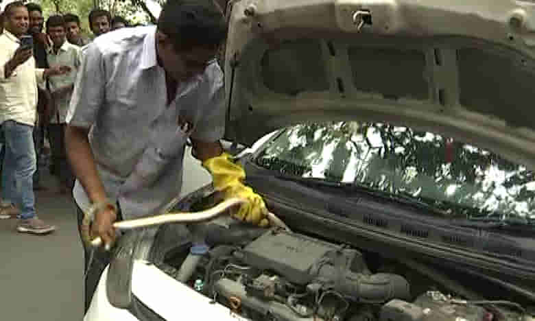 కారు బోనెట్లో భారీ విషసర్పం..