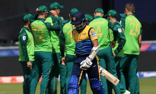 ఐసీసీ ప్రపంచకప్ 2019: ఈసారి వరుణుడి స్థానంలో తేనెటీగలు!