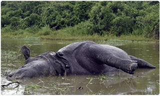 బడ్జెట్ తర్వాత తొలి జీఎస్టీ భేటీ నేడే