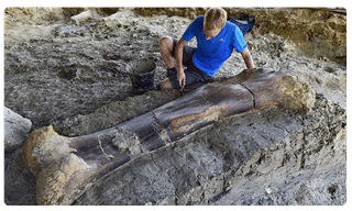 అమెరికా పారిపోతుండగా మరోమారు పట్టుబడ్డ శివాజీ..!