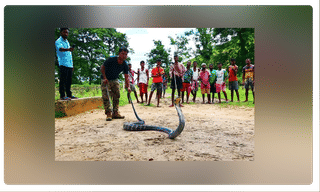 మేమేమన్న సన్యాసులమా..?