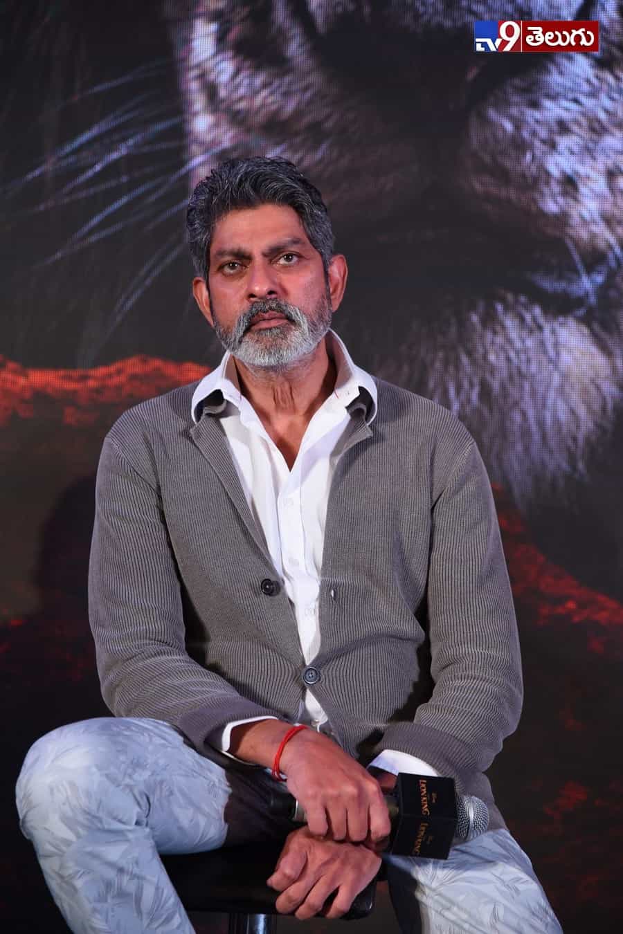 “ది లయన్ కింగ్” ప్రెస్ మీట్