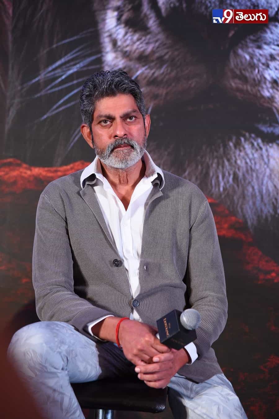 “ది లయన్ కింగ్” ప్రెస్ మీట్