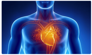 విజృంభిస్తున్న స్వైన్ ఫ్లూ..