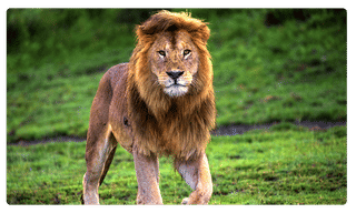 స్టేజ్ మీదే కన్నుమూసిన కమెడియన్..నటనే అనుకున్న ఆడియెన్స్