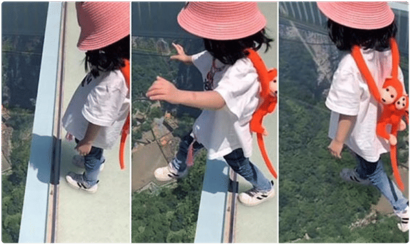 ఔరా.. ఈ బుడత ధైర్యాన్ని మెచ్చుకోవాల్సిందే