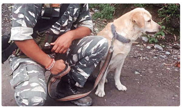 వావ్.. వాట్ ఏ డాగ్... అంతా హ్యాట్సాఫ్ చెప్పండి