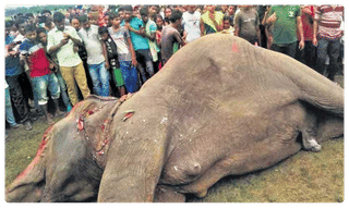 ఇద్దరు సంతానం దాటితే ఓటు హక్కు కట్ చేయాల్సిందే : కేంద్రమంత్రి