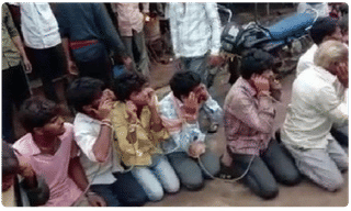 మహారాష్ట్ర అడవిలో  తల్లితో పాటు అవి కూడా  ..