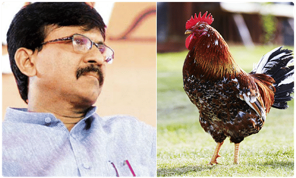 వాటిని శాకాహారంగా గుర్తించండి.. శివసేన ఎంపీ సంజయ్ వ్యాఖ్య