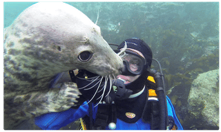 బిగ్ బాస్3లో శ్రీముఖి రెమ్యునరేషన్ ఎంతో తెలిస్తే.. షాక్ అవుతారు..!