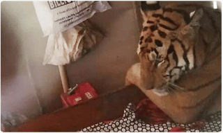 కర్నాటకలో గంటకో హైడ్రామా.. మారుతున్న సీన్..