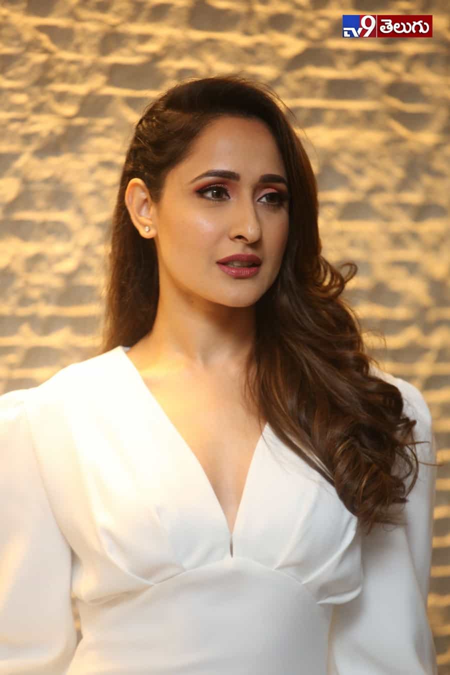 ప్రజ్ఞా జైస్వాల్ లేటెస్ట్ ఫోటోస్