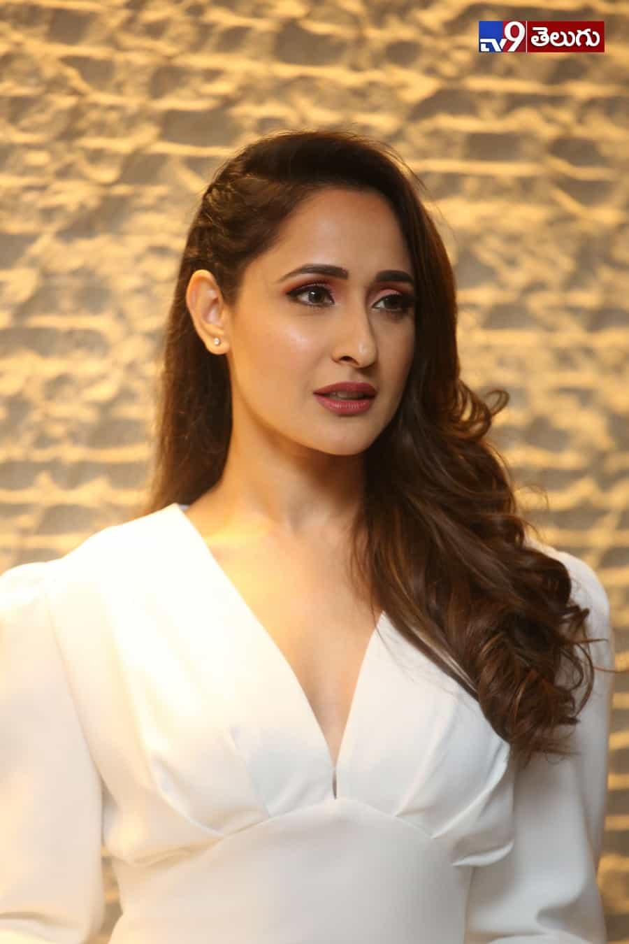 ప్రజ్ఞా జైస్వాల్ లేటెస్ట్ ఫోటోస్