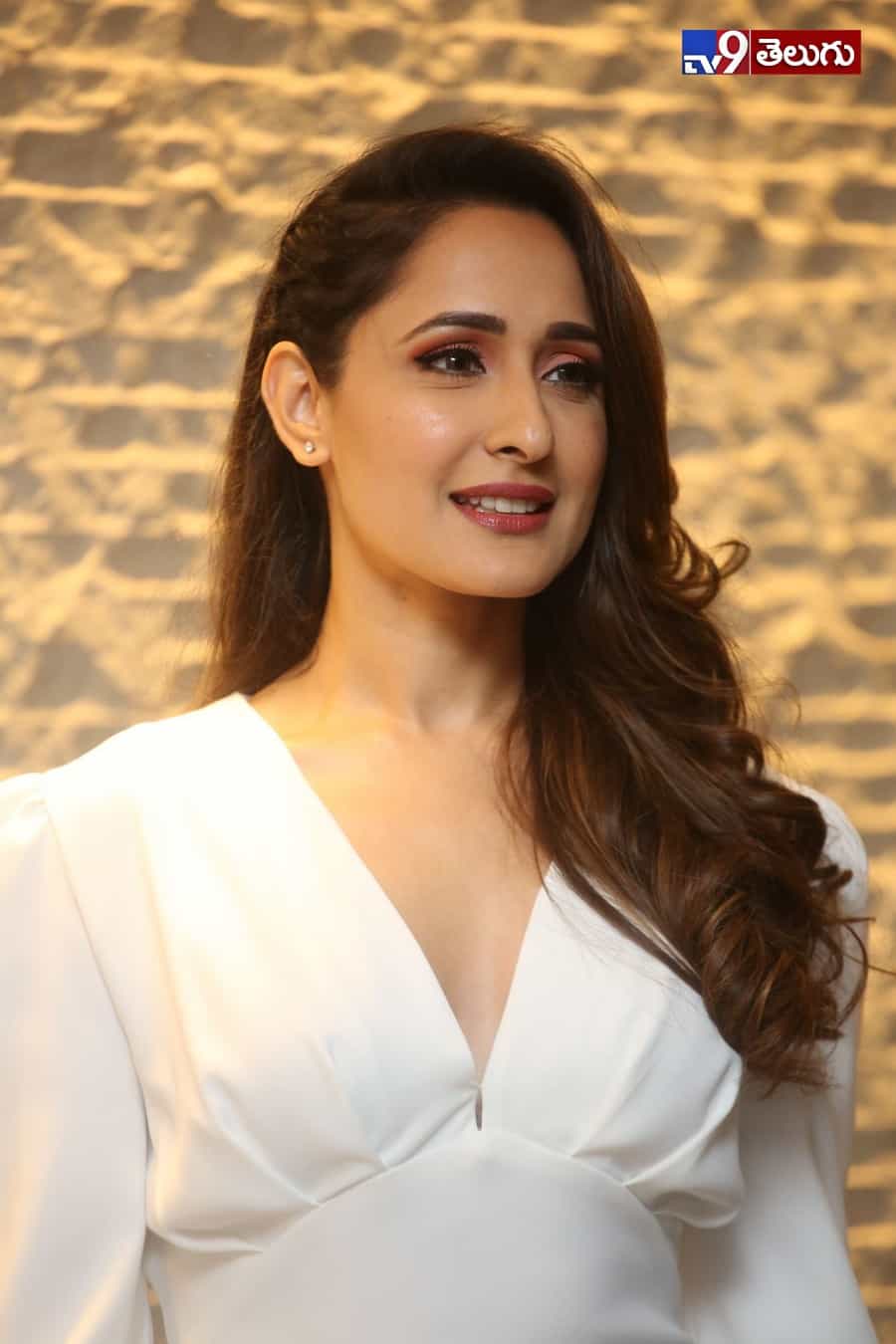 ప్రజ్ఞా జైస్వాల్ లేటెస్ట్ ఫోటోస్