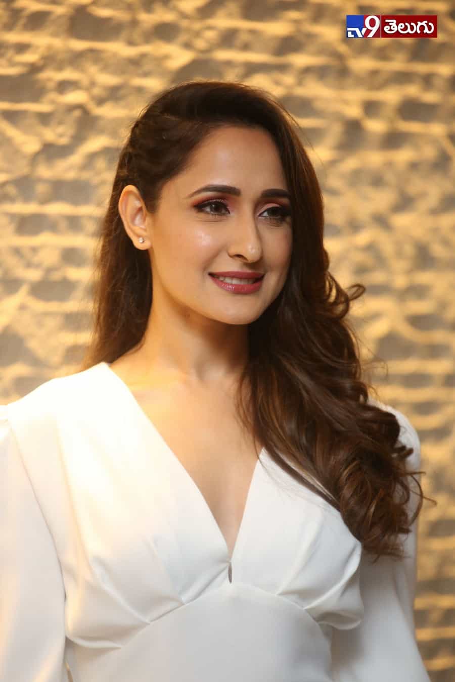 ప్రజ్ఞా జైస్వాల్ లేటెస్ట్ ఫోటోస్
