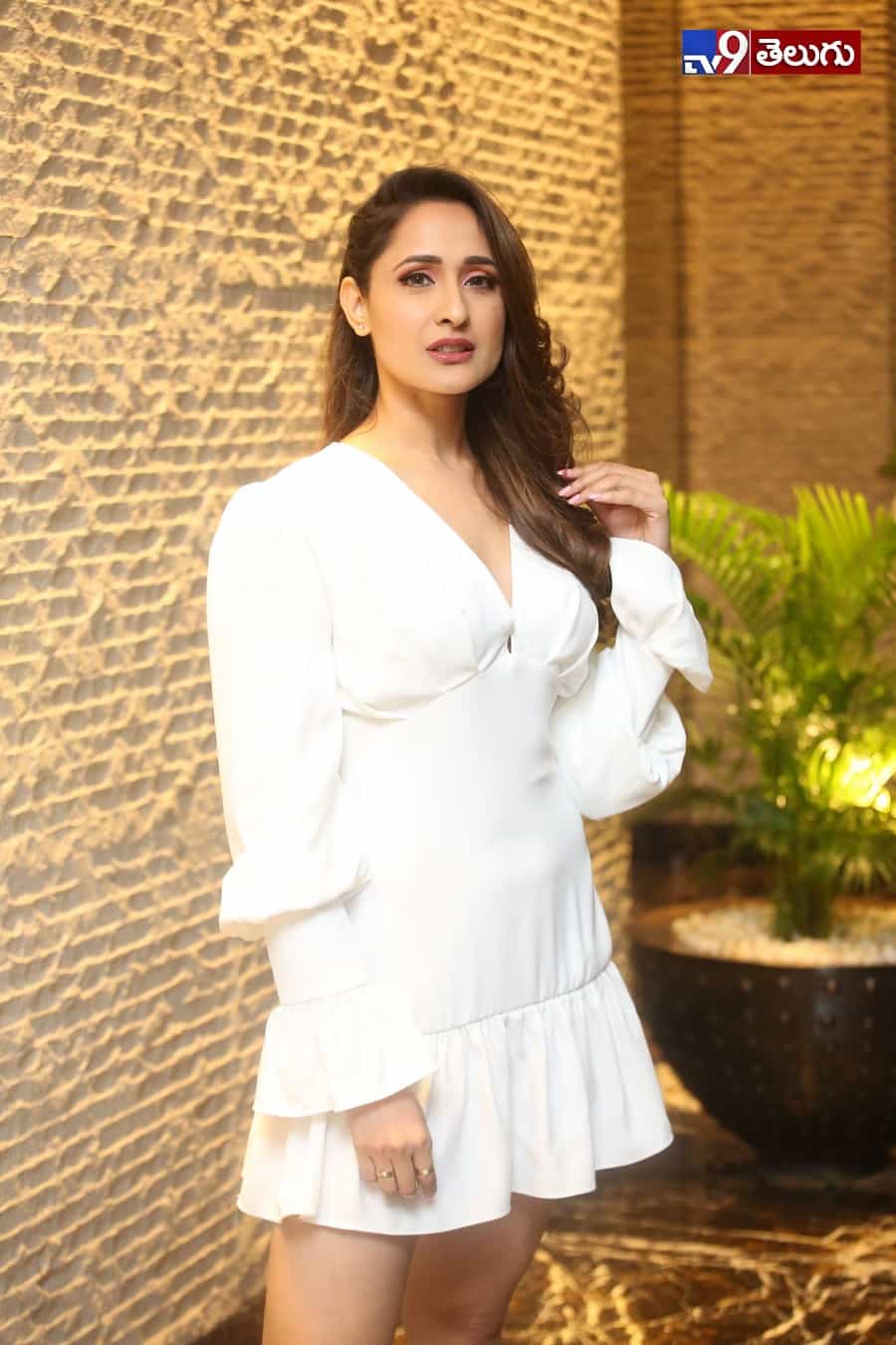 ప్రజ్ఞా జైస్వాల్ లేటెస్ట్ ఫోటోస్