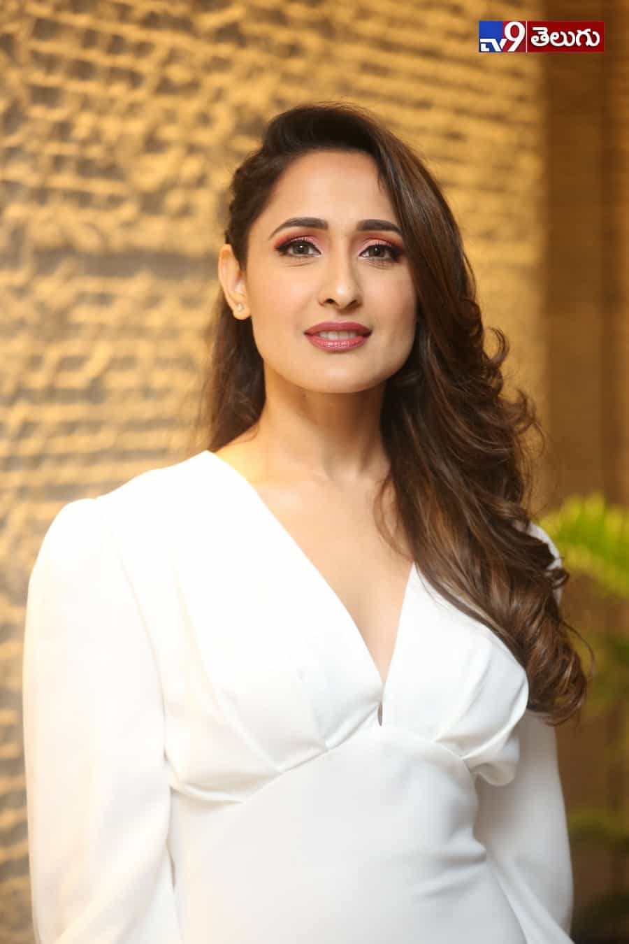 ప్రజ్ఞా జైస్వాల్ లేటెస్ట్ ఫోటోస్