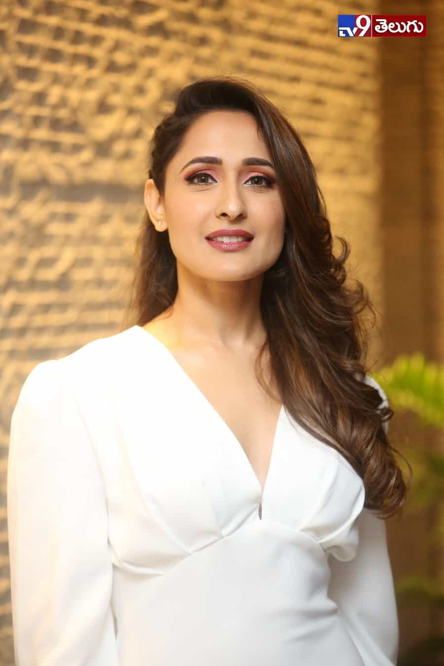 ప్రజ్ఞా జైస్వాల్ లేటెస్ట్ ఫోటోస్