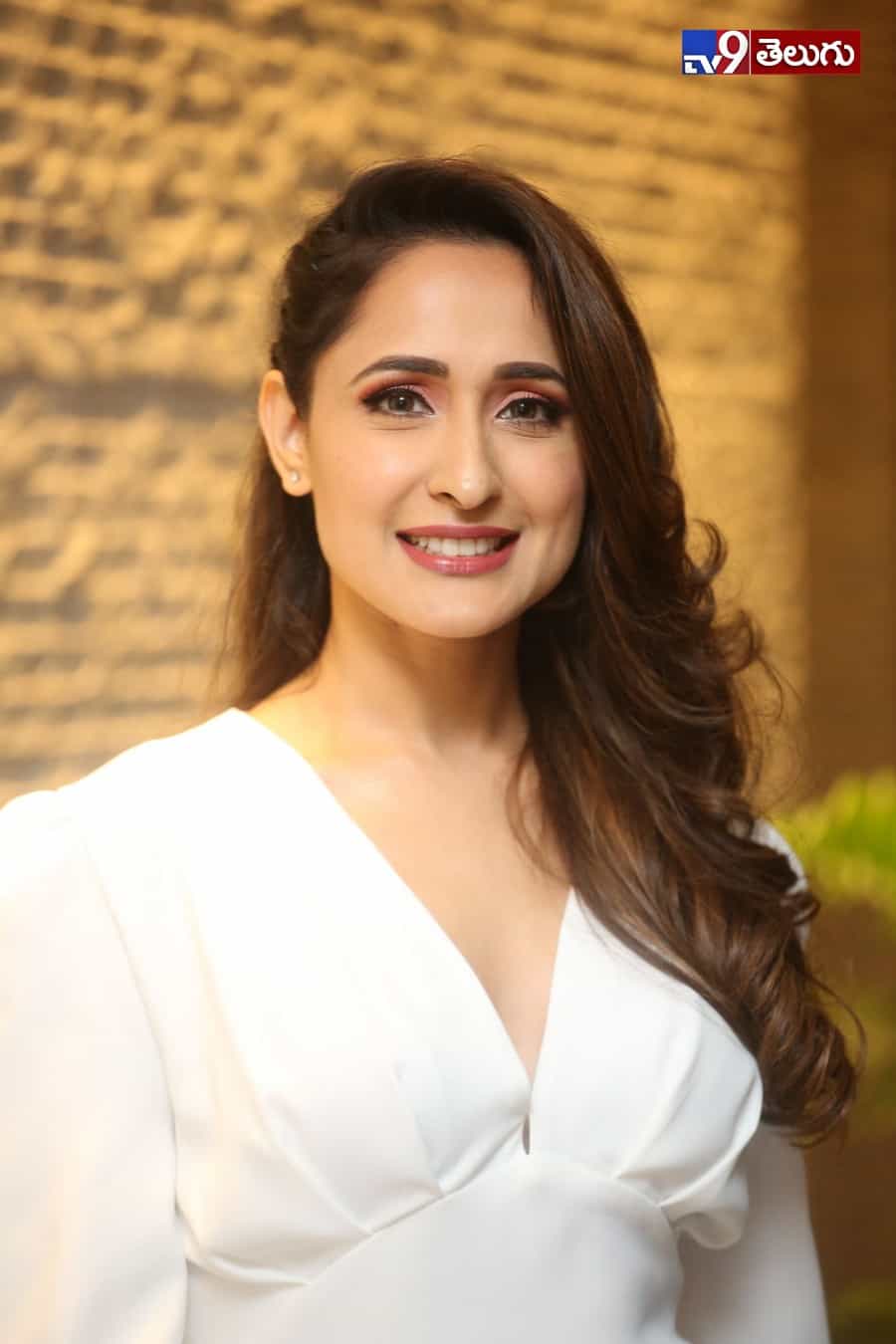 ప్రజ్ఞా జైస్వాల్ లేటెస్ట్ ఫోటోస్