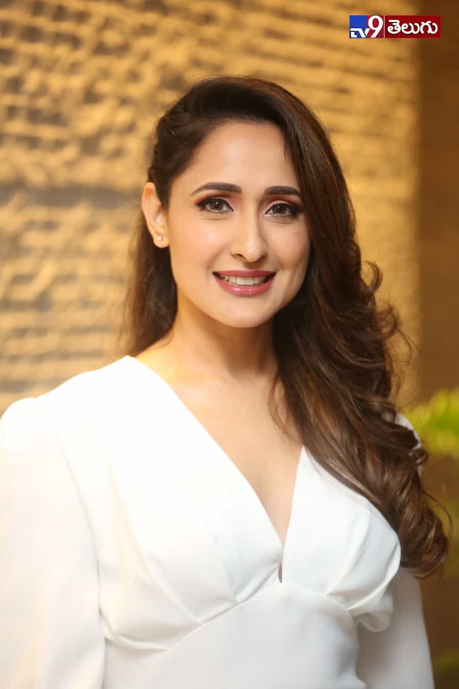 ప్రజ్ఞా జైస్వాల్ లేటెస్ట్ ఫోటోస్