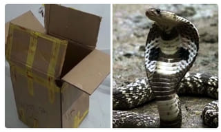 అమెజాన్‌ అడవులకు స్టార్ హీరో రూ.36 కోట్ల విరాళం!