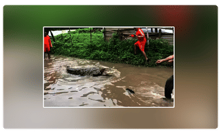 తెల్ల జెండాలతో రండి… మీ వారి శవాలను తీసుకెళ్లండి.. పాక్‌కు సూచన