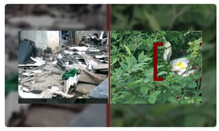 వచ్చే నెలలో పోలవరం సందర్శనకు కేంద్ర మంత్రి రాక..!