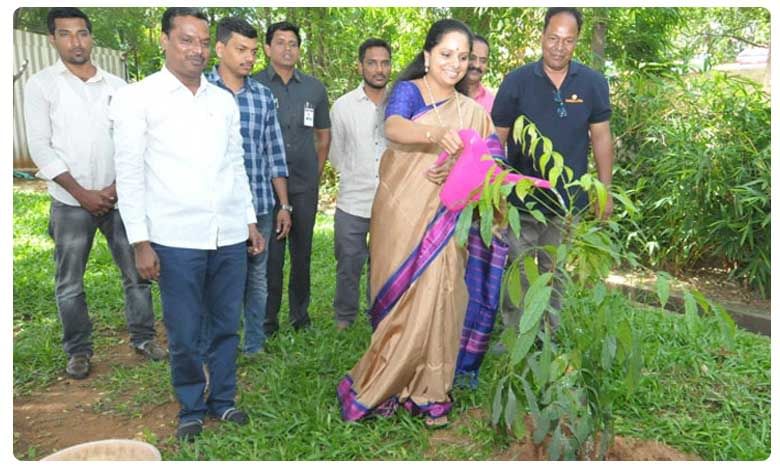గ్రీన్ ఛాలెంజ్ ను స్వీకరించిన మాజీ ఎంపీ కవిత