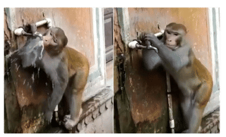 సినీ ఫక్కీలో.. గాల్లో..ఆకాశంలో ఎగురుతూ.. ఇంగ్లిష్ ఛానల్ దాటాడు