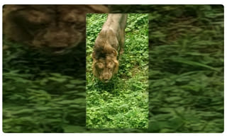 నేర విచారణలో పాతకాలపు పద్ధతులు మానుకోండి: హోం మంత్రి అమిత్ షా