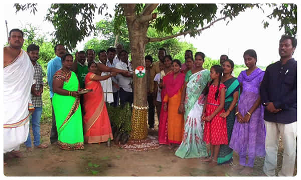 గోశాలలో రక్షా బంధన్..నేరేడు చెట్టుకు బర్త్డే..!
