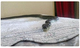 ‘హలో’ చెప్పిన ఏలియన్స్..? ప్రూఫ్ దొరికిందంటున్న శాస్త్రవేత్తలు