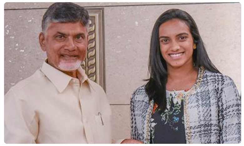 దేశం గర్వించేలా చేశావ్..సింధుకు చంద్రబాబు ప్రశంస
