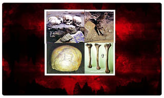 ఉత్తరాఖండ్‌లో కుప్పకూలిన విమానం, ముగ్గురు మృతి