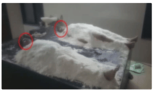 వైసీపీ నేత కొత్తపల్లి సుబ్బారాయుడికి పుత్ర వియోగం