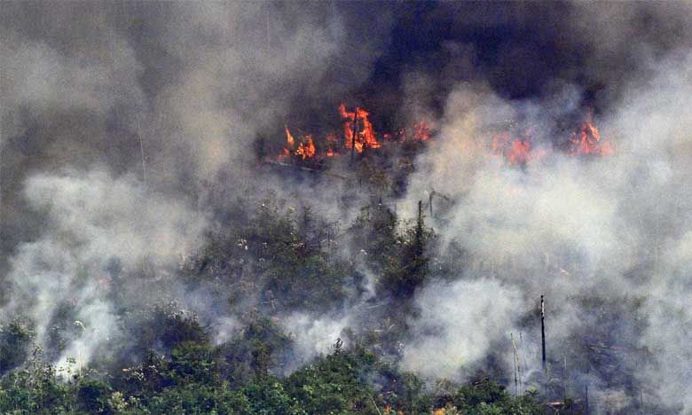 Amazon RainForest Fire: అమెజాన్ అడవుల కార్చిచ్చు.. విద్రోహ చర్యా.?