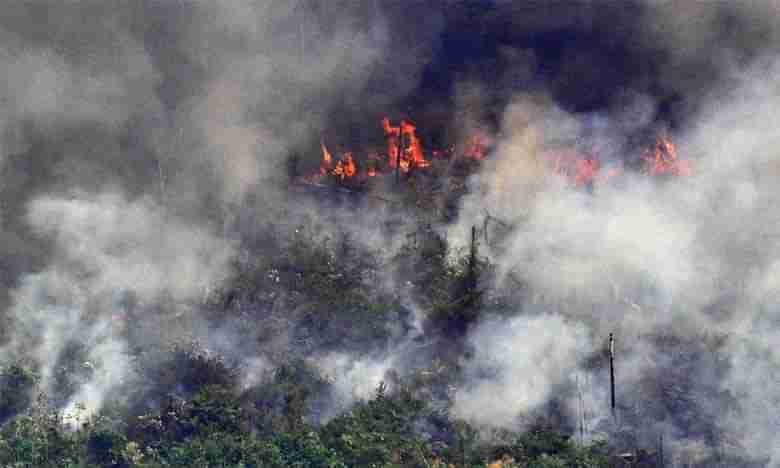 Amazon RainForest Fire: అమెజాన్ అడవుల కార్చిచ్చు.. విద్రోహ చర్యా.?