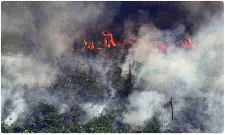 Amazon Rainforest Fire : బ్రెజిల్‌‌లో ఎమర్జెన్సీ.. అమెజాన్‌లో ఆగని కార్చిచ్చు