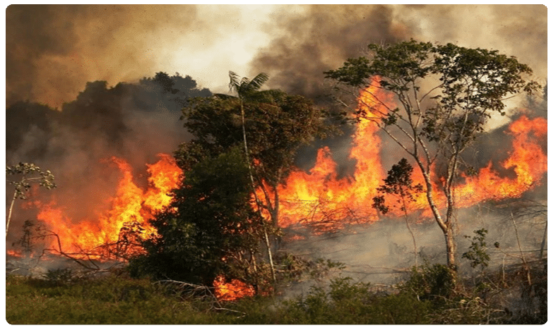 Amazon Rainforest Fire : తగలబడుతున్న అమెజాన్ ఫారెస్ట్.. నాసా తీసిన చిత్రం