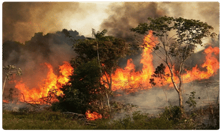 ఇమ్రాన్ ఖాన్‌కు భారీ షాక్.. మరోసారి బ్లాక్‌లిస్ట్‌లోకి పాక్‌