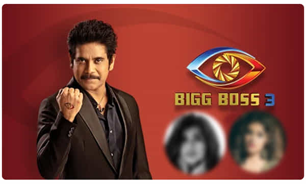 వైల్డ్ కార్డ్ ఎంట్రీలు.. ఇద్దరు అందాల భామలు
