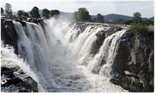 ఇష్టం లేకపోతే వెళ్లిపోండి: డాక్టర్లకు కేటీఆర్ వార్నింగ్