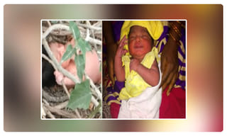 ఉప్పులో దాచితే..మృతులు బతికొస్తారా?