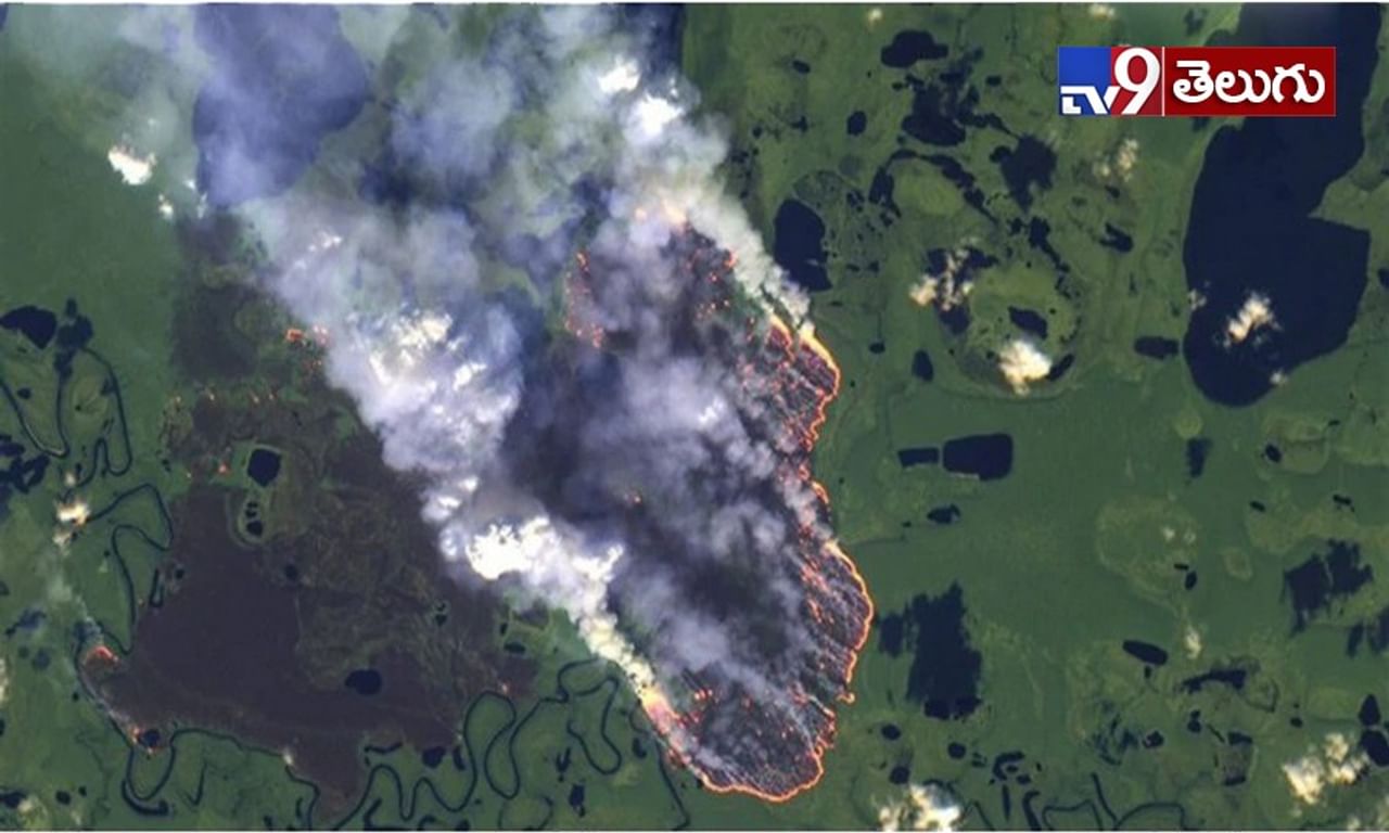 Amazon Rainforest Fire: తగలబడుతున్న అమెజాన్ ఫారెస్ట్..
