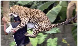 మనిషిని తాకిన మెరుపు వేగం.. షాకిచ్చిన క్షణం