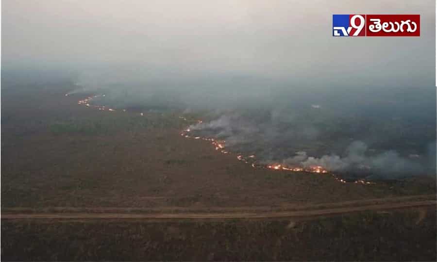 Amazon Rainforest Fire: తగలబడుతున్న అమెజాన్ ఫారెస్ట్..